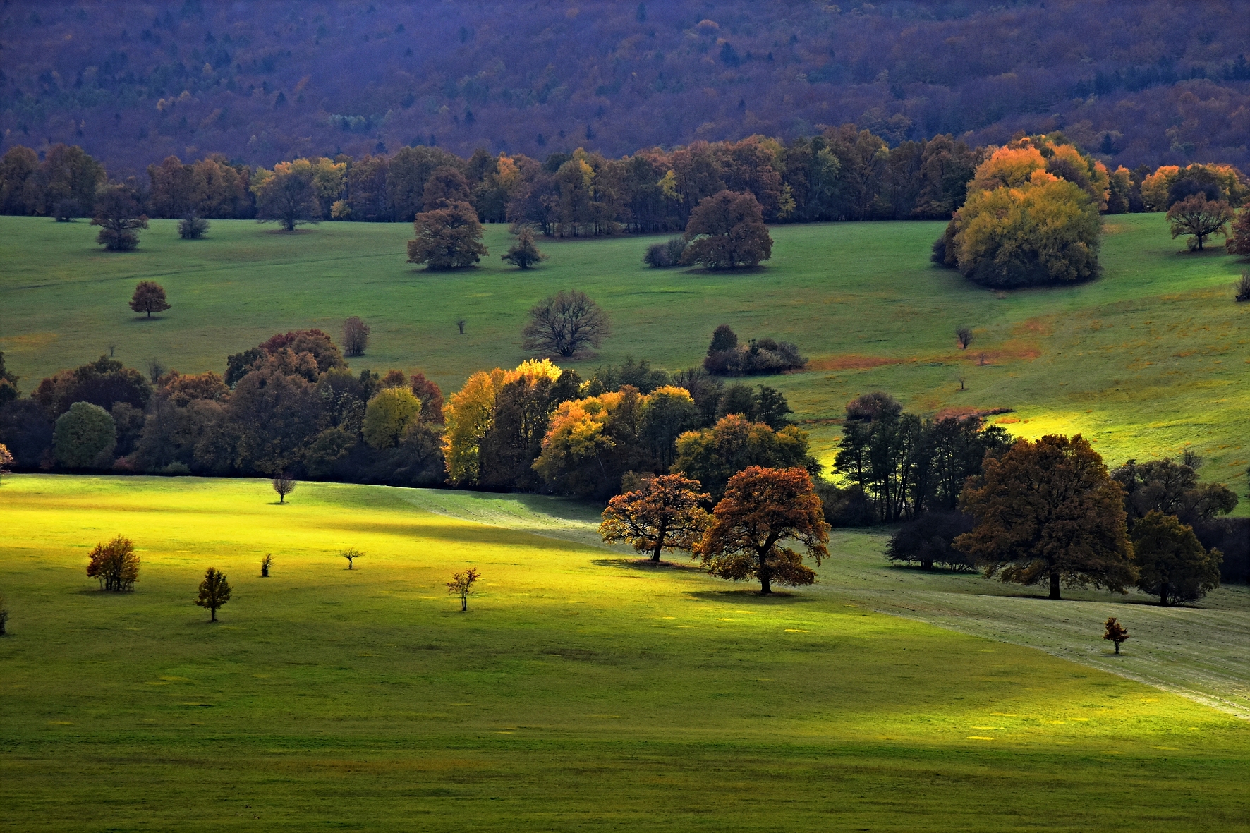DSC_0889 K