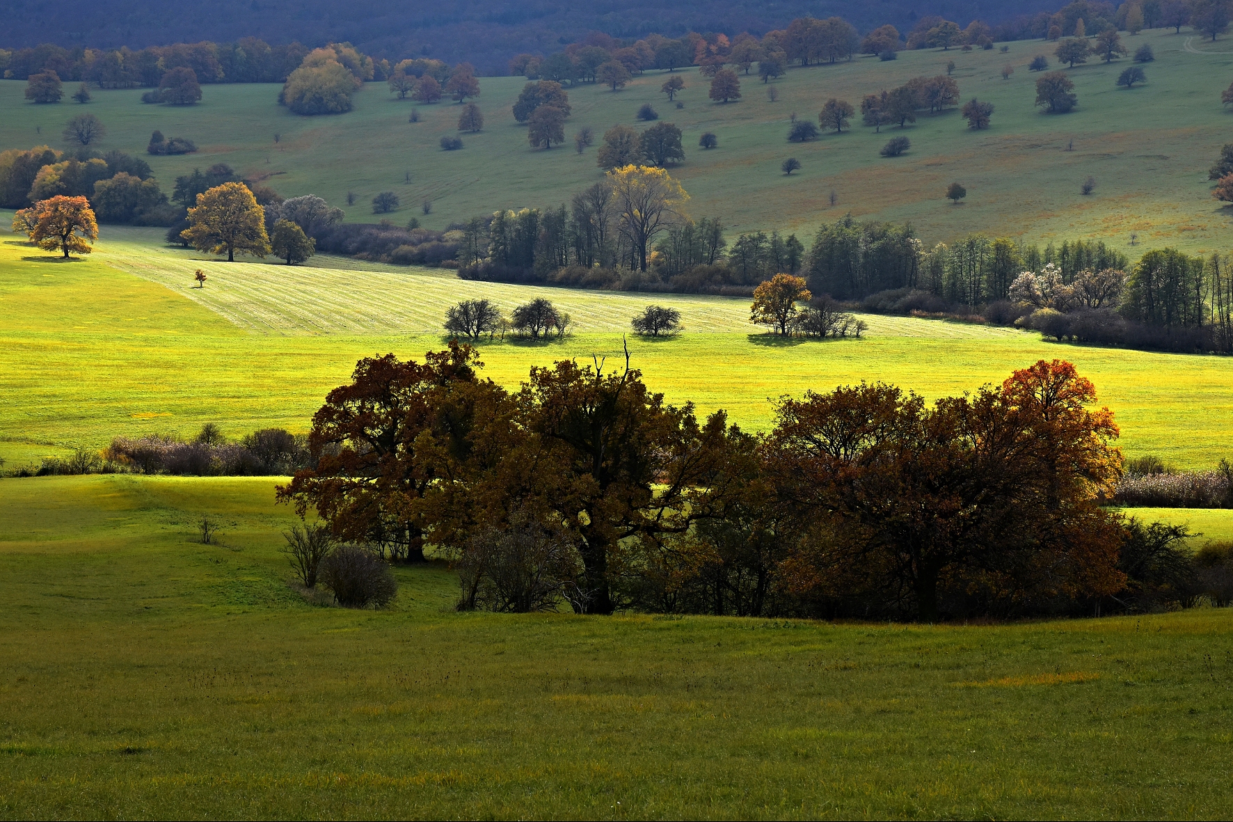 DSC_0925 K