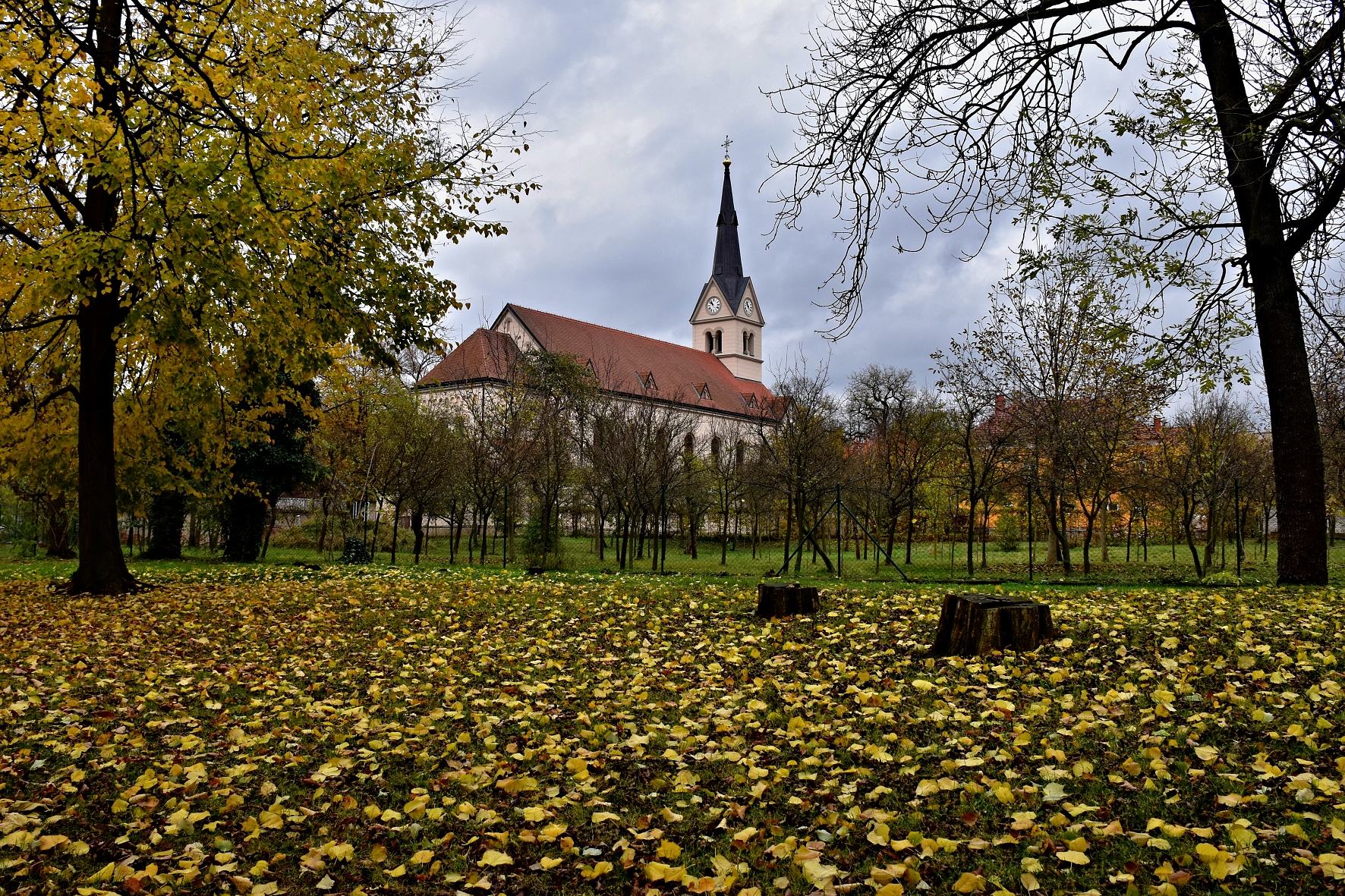 DSC_0264