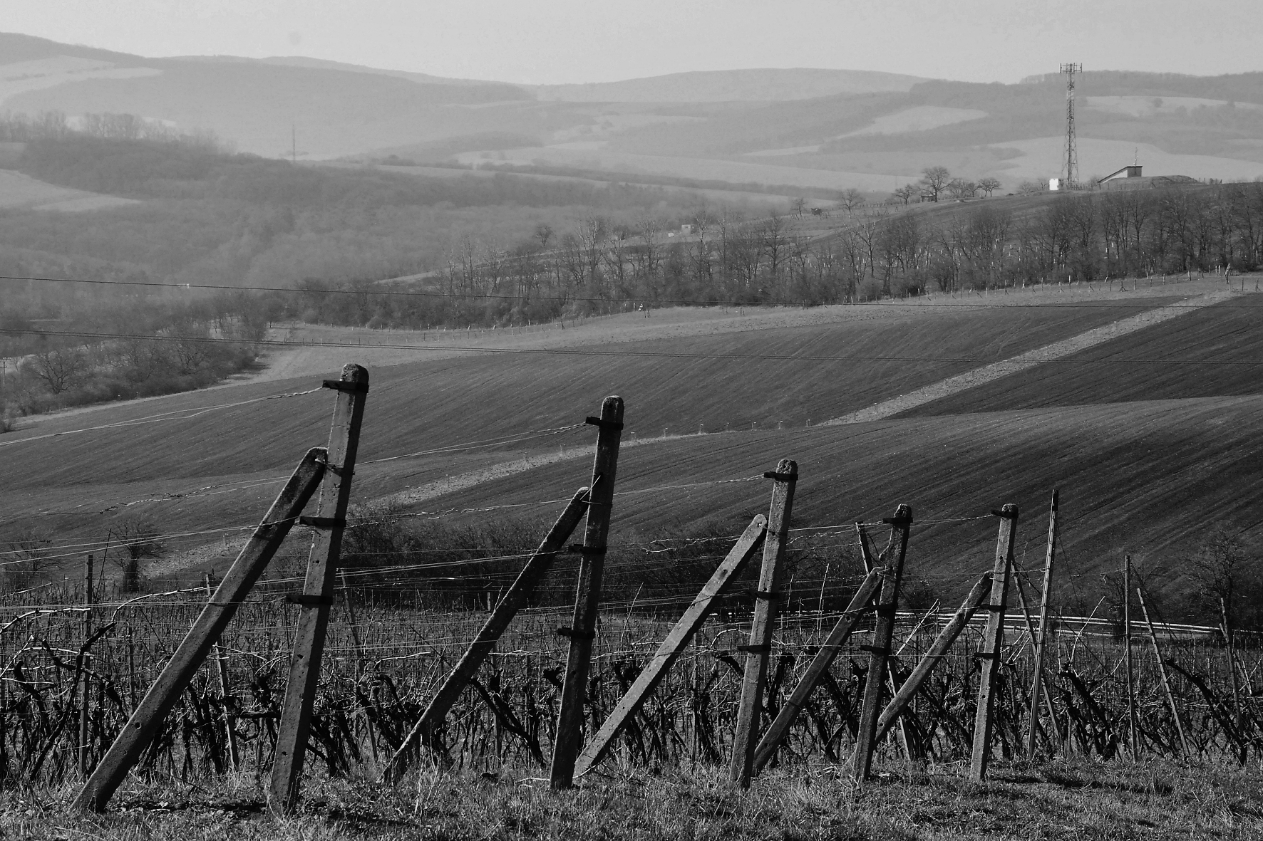 DSC_0022