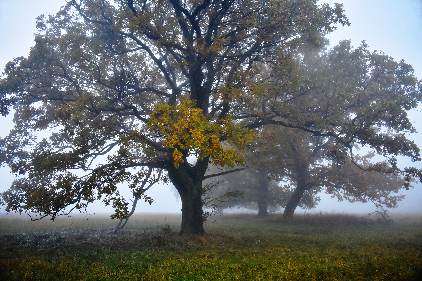 DSC_0151