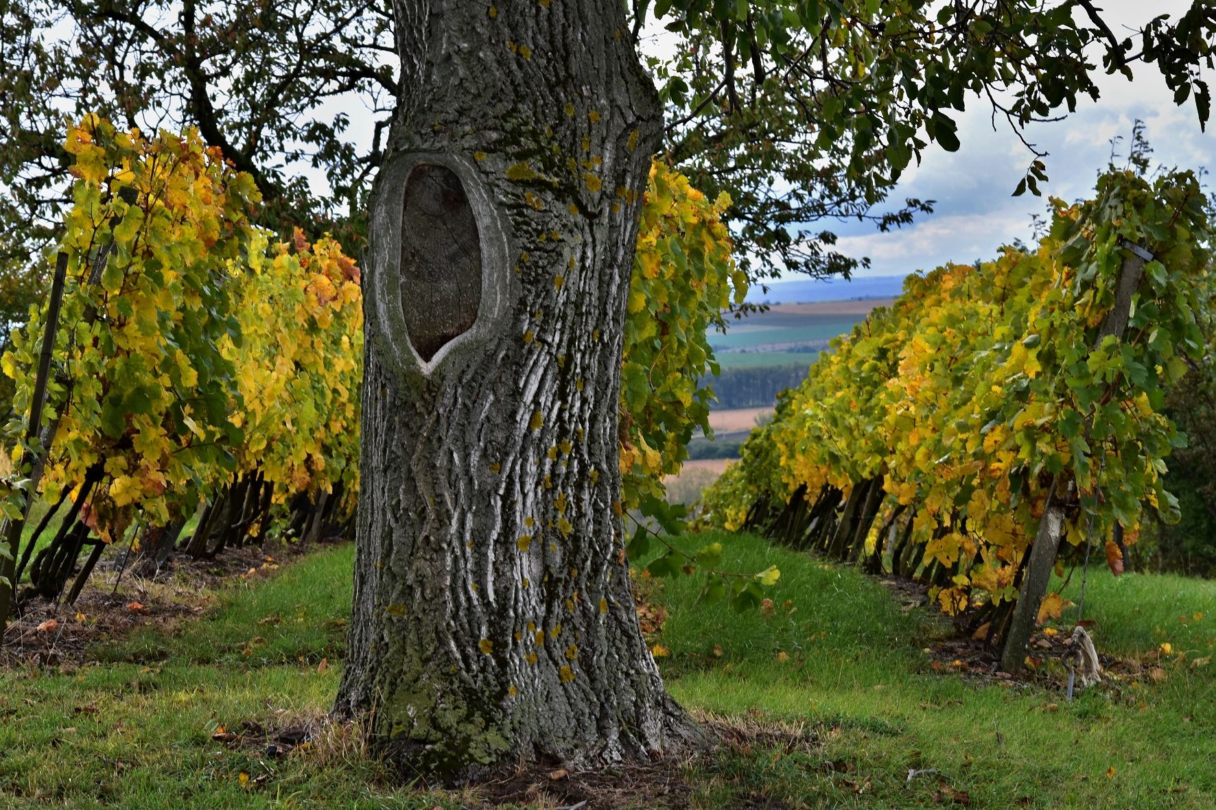 DSC_0258