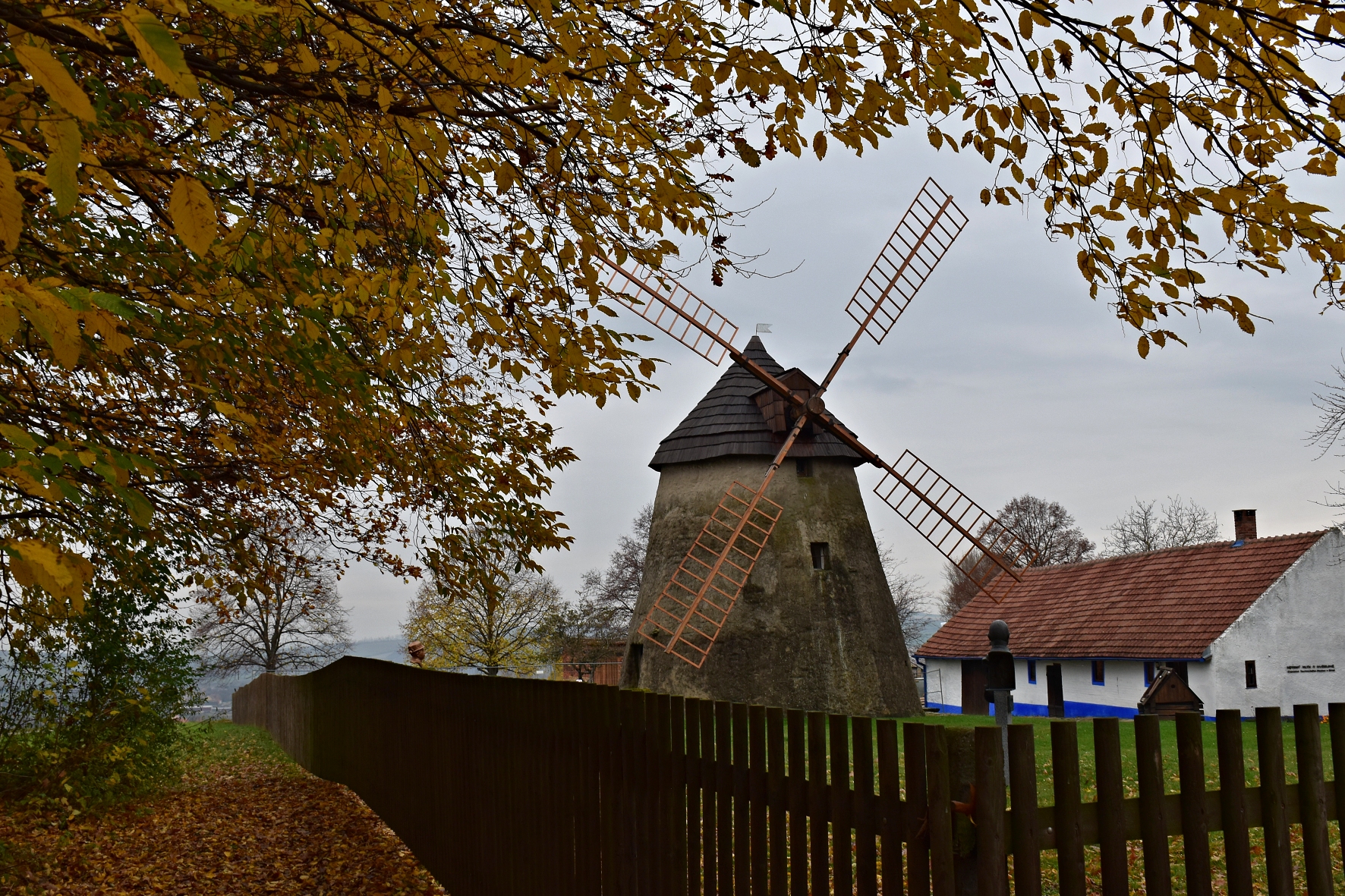 DSC_0681