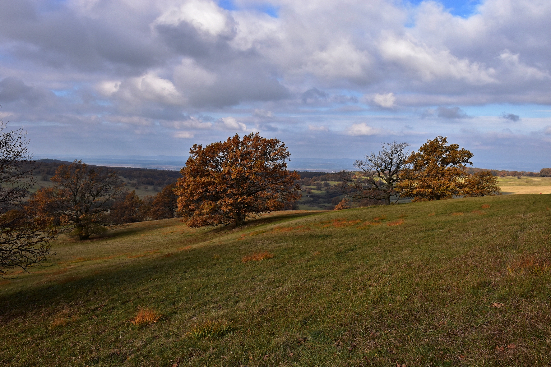 DSC_0780
